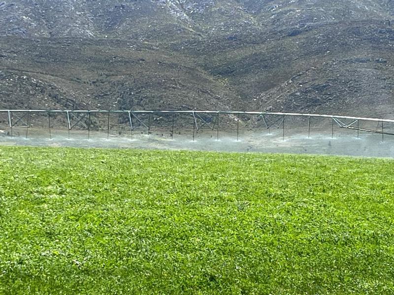 0 Bedroom Property for Sale in George Rural Western Cape